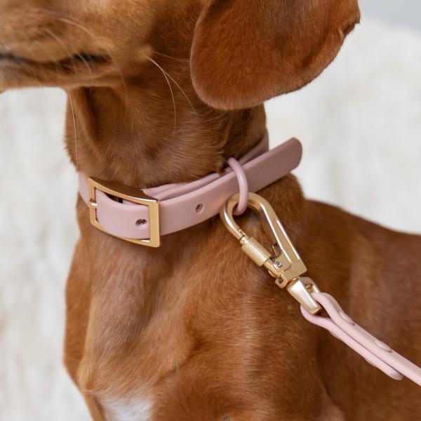 Waterproof Collar Blush Pink