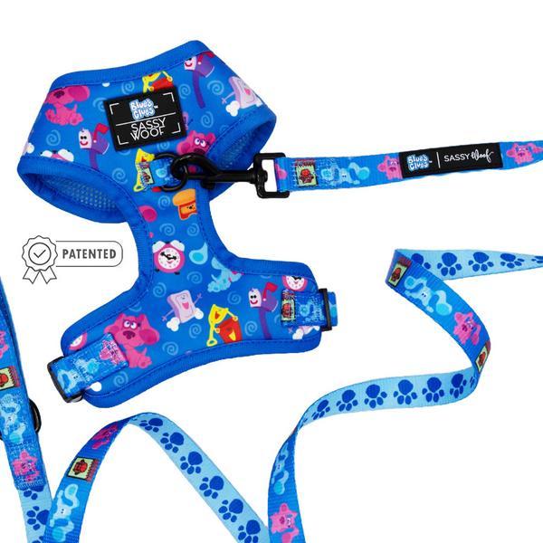 Two Piece Harness And Leash Bundle
