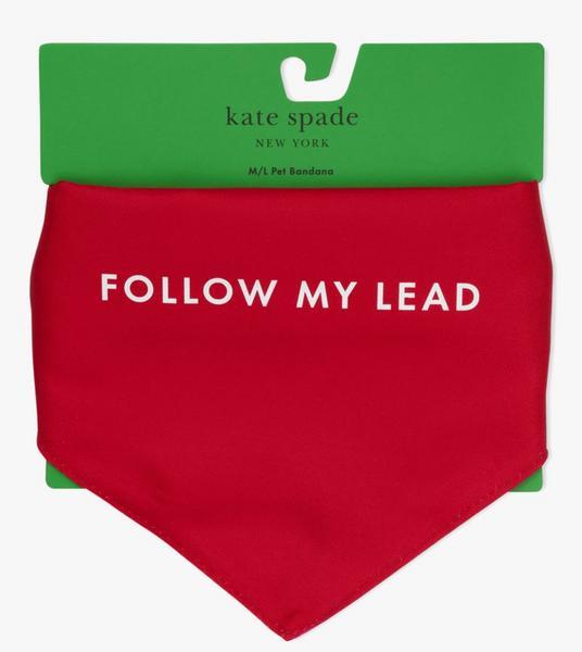 Follow My Lead Colorblock Bandana