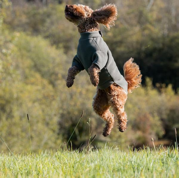 Four Legged Coat