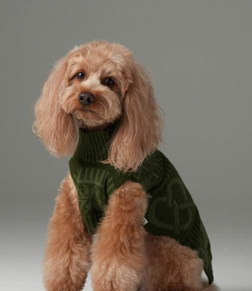 Pretzel Sweater Olive Green