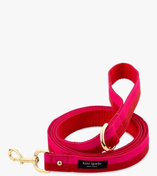 Colorblock Leash