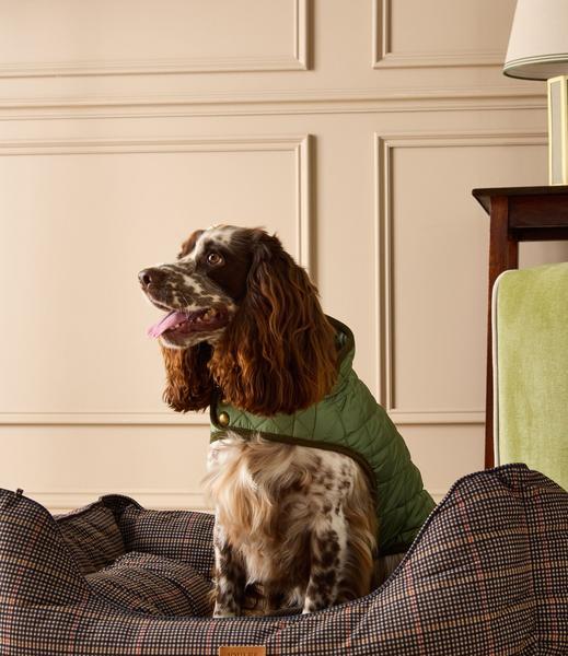 Check Brown Pet Bed