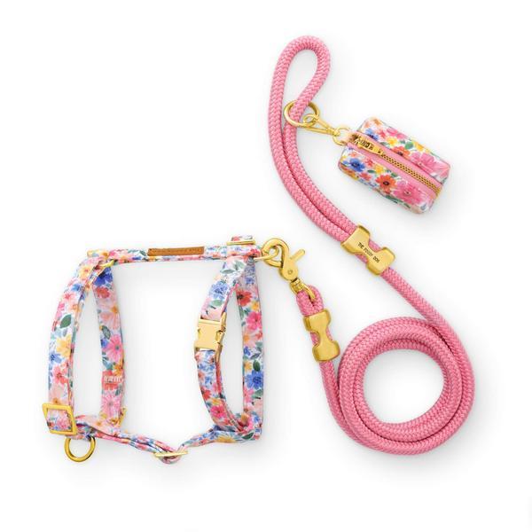 Gingham Harness Walk Set