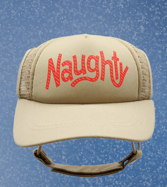 Naughty Foam Trucker Hat