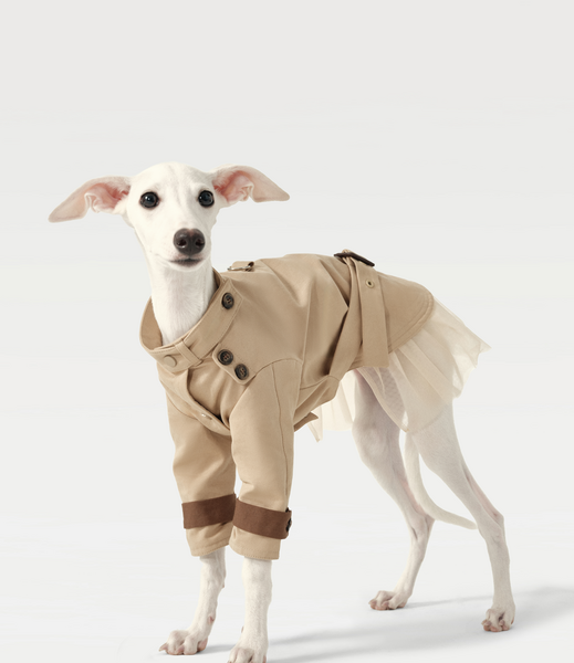 Classic Tulle Trench Coat Dress