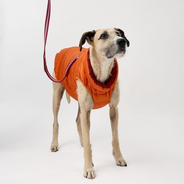 Harness Hole Reversible Puffer Jacket