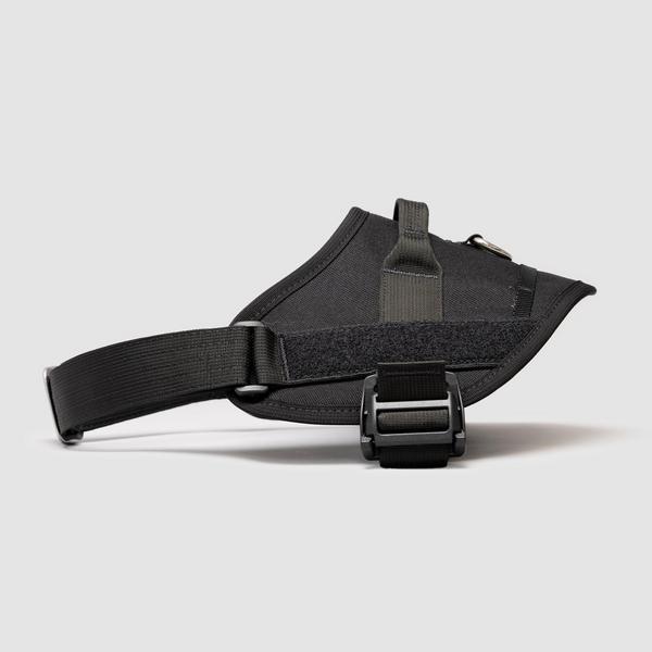 Lifetime Pro Harness