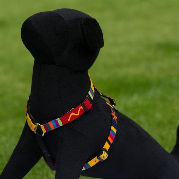 Sun Valley Holiday Harness