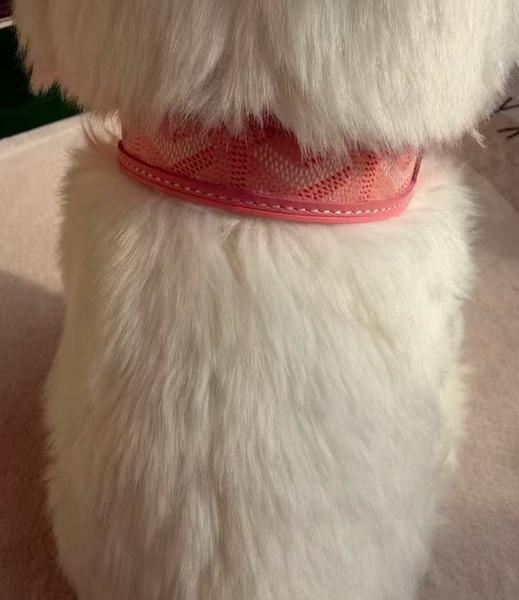 Pink Collar And Leash Set