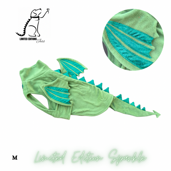 Limited Edition Sparkly Dragon Coat With Wings And Detachable Tail