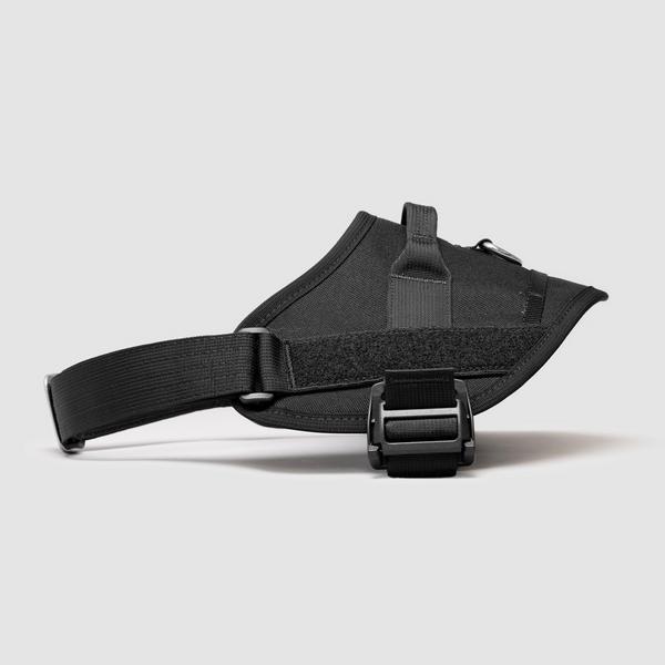 Pro Harness