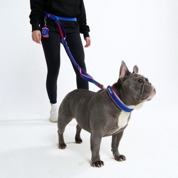Multipurpose Seatbelt Handsfree Leash And Poop Bag Holder Set