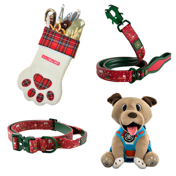 Collar And Lead Bundle With Treats And Plush Toy