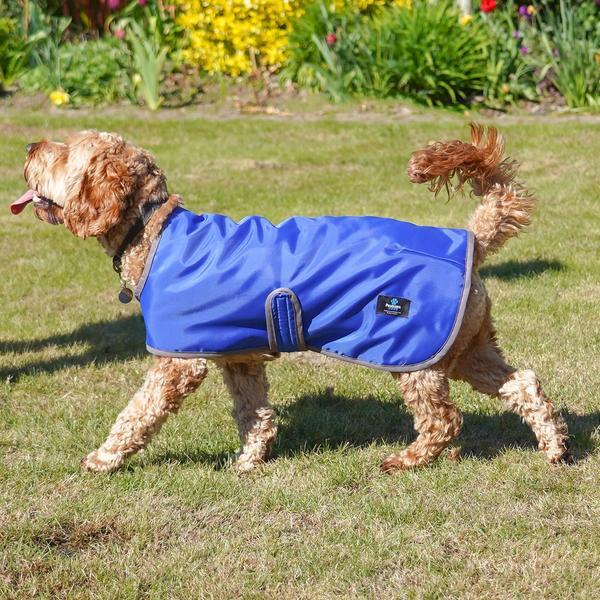 Lightweight Raincoat