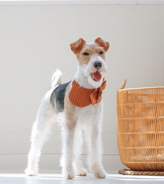 Pleated Bib With Bow