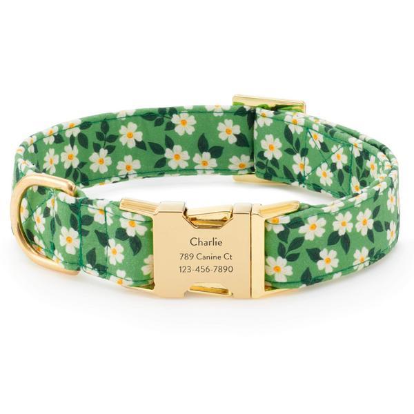 Dainty Daisies Collar