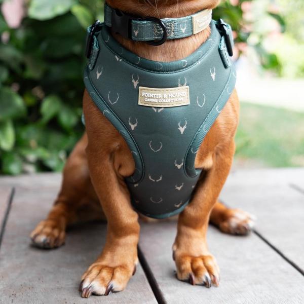 Classic Harness Stag