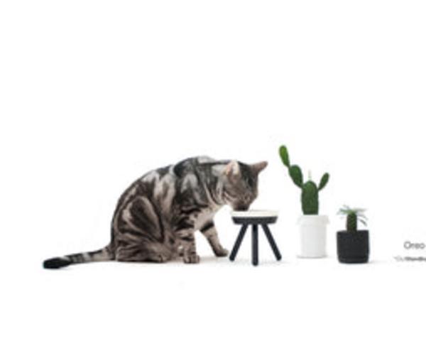 Elevated Pet Feeder Table