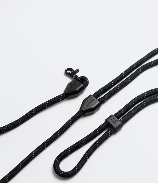 Commuter Leash