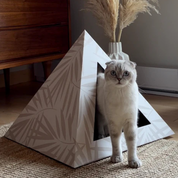Cardboard Pyramid Bed