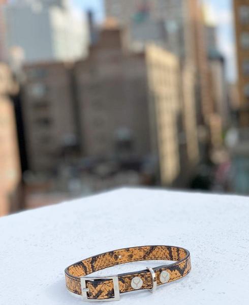 Taylor Collar Embossed Yellow and Black Leather