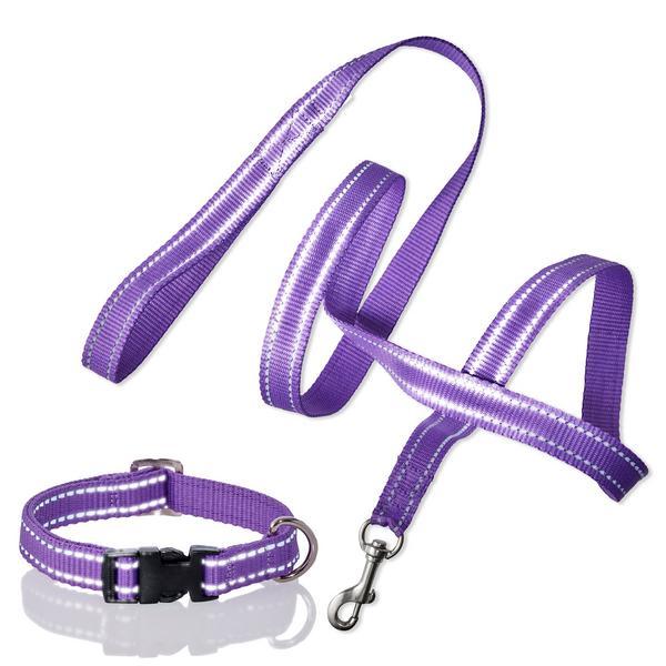 Hardy Reflective Leash And Collar Set