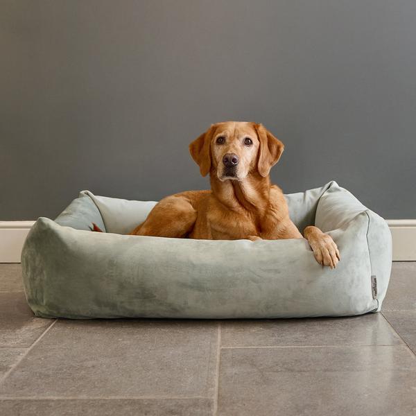Velvet Burnham Bolster Bed