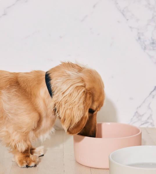 Minimalist Two-Textured Ceramic Bowl