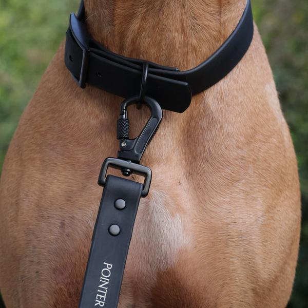 Waterproof Collar
