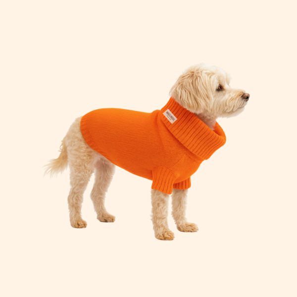 Lava Orange British Wool Jumper
