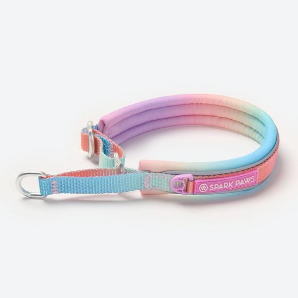 Pastel Icing Martingale Collar