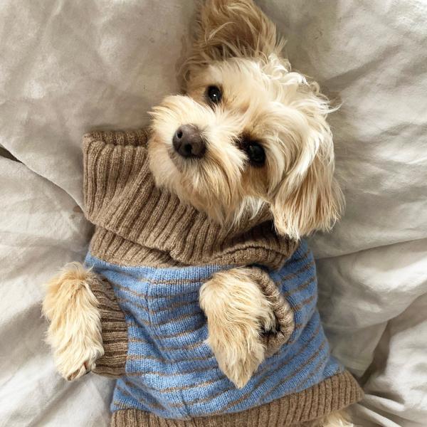 Stripe Jumper in Powder Blue