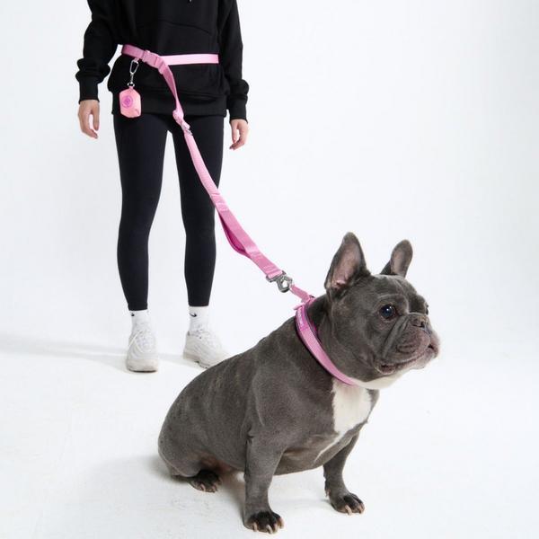 Multipurpose Seatbelt Handsfree Leash And Poop Bag Holder Set