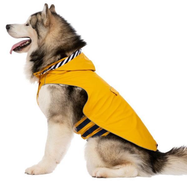 Xl Waterproof Coat With Hood