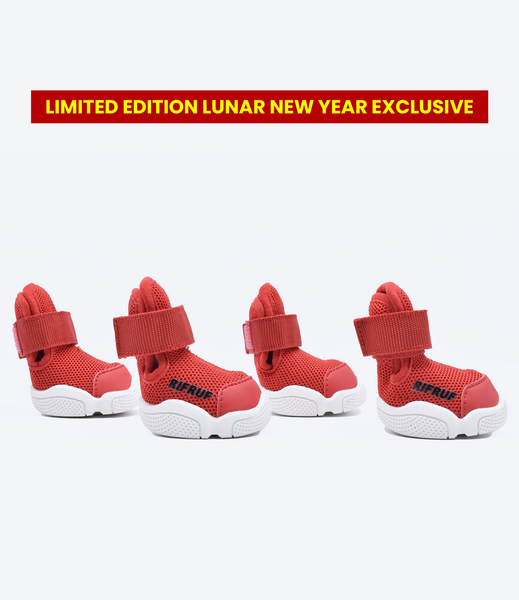 Caesar 1 Sneakers
