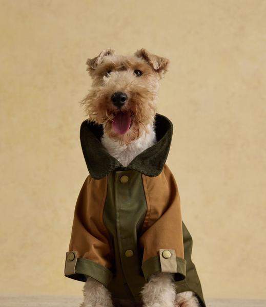 Brown And Khaki Coat