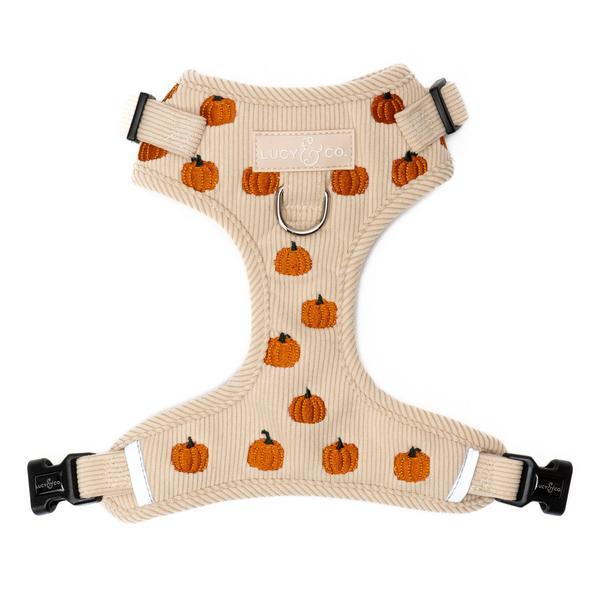 Oh My Gourd No-Pull Corduroy Harness