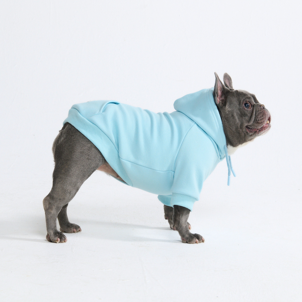 Essential Hoodie Baby Blue