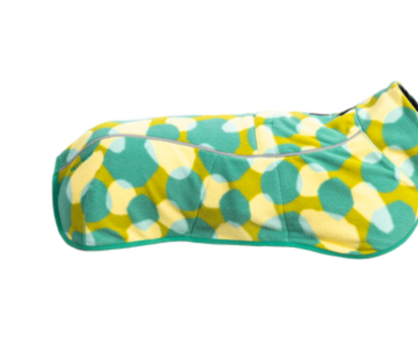 Limited Edition Climate Changer Fleece Vest