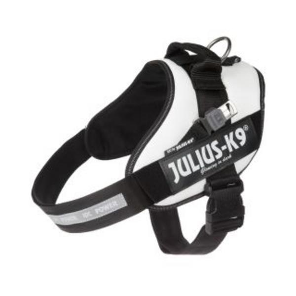 Guide Harness