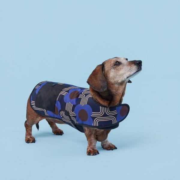 Electric Flora Cobalt Coat