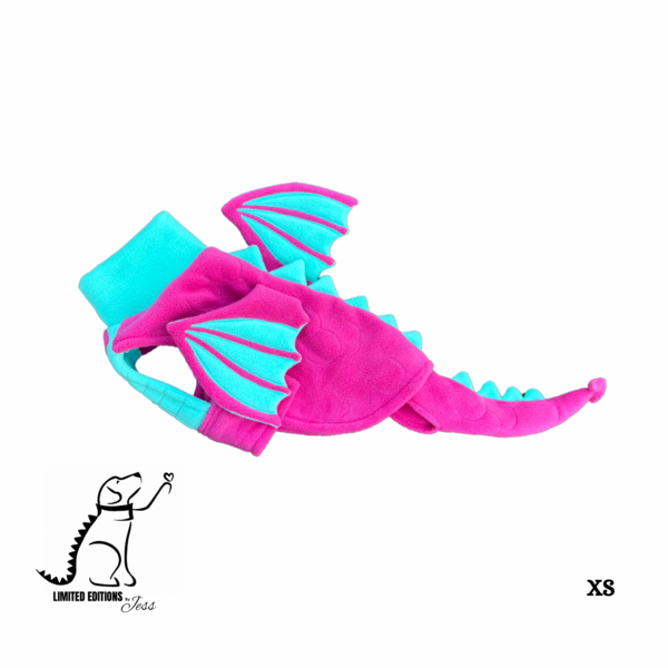 Limited Edition Dragon Coat With Wings And Detachable Tail