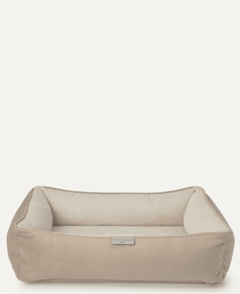 Modern Beige Removable Cover Bed