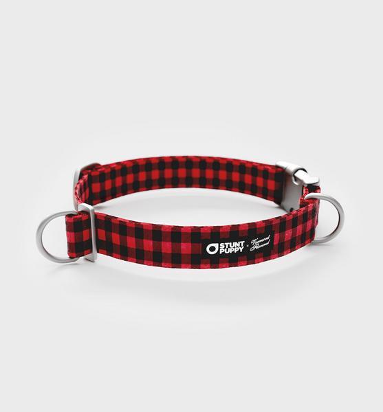 Everyday Collar