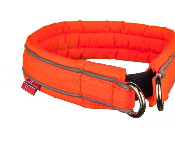 Safe Collar with Reflective Stripes and Bungee Component
