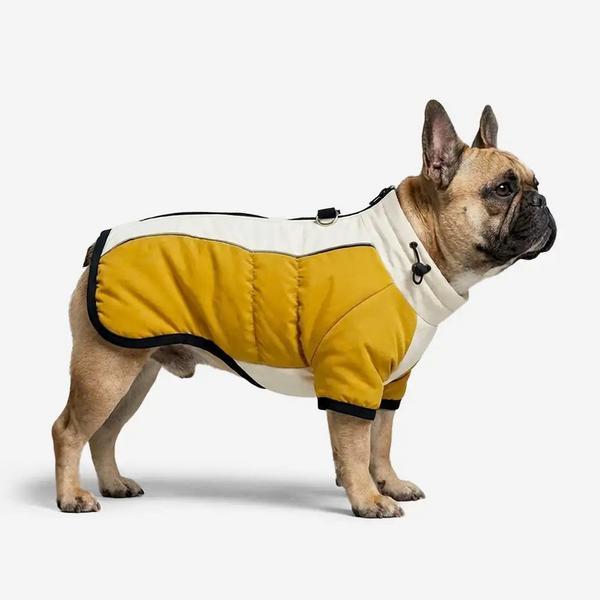 Retro Color-Block Fleece-Lined Warm Coat With Leash Buckle