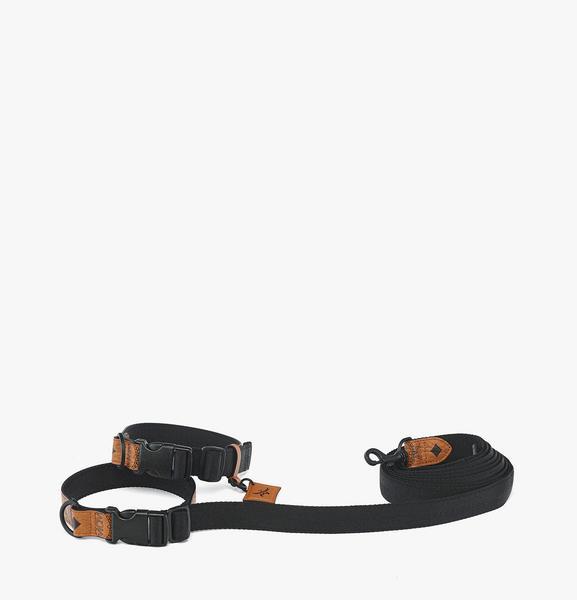 Collar and Crossbody Leash