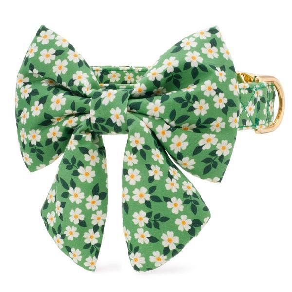 Dainty Daisies Bow Collar