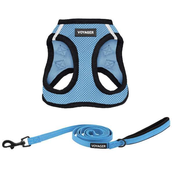 Step-In Air Harness Leash Combo Set